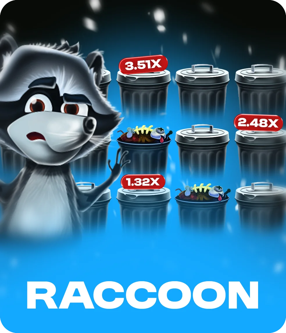 raccoon